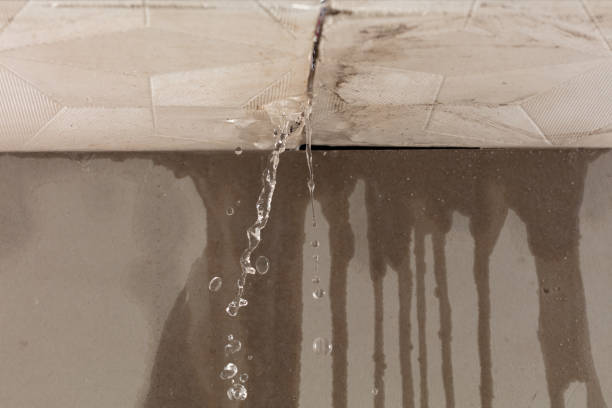 Professional Structural Drying technician working in Moro, IL